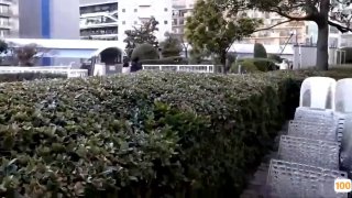 VIRGINIA WOOLF肛交变态另类慎点！多女主肛交内射合集，粉丝要求！撸管必射！